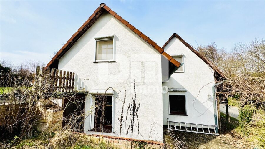 Natur pur - Einfamilienhaus am Ortsrand mit großem Grundstück, Carport und Terrasse - Seitenansicht